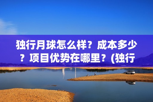 独行月球怎么样？成本多少？项目优势在哪里？(独行月球结局什么意思)