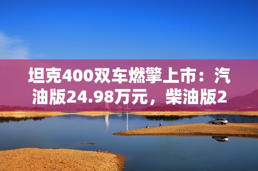 坦克400双车燃擎上市：汽油版24.98万元，柴油版26.48万元