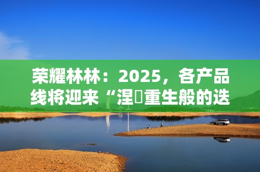 荣耀林林：2025，各产品线将迎来“涅槃重生般的迭代”