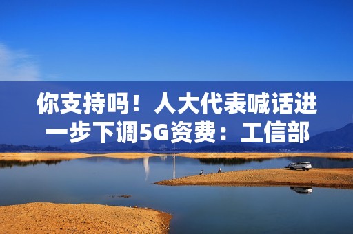 你支持吗！人大代表喊话进一步下调5G资费：工信部回应了