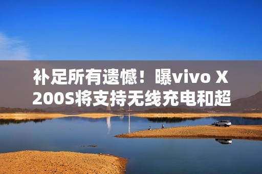补足所有遗憾！曝vivo X200S将支持无线充电和超声波指纹