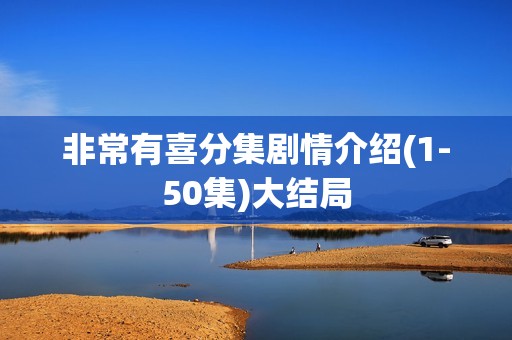 非常有喜分集剧情介绍(1-50集)大结局