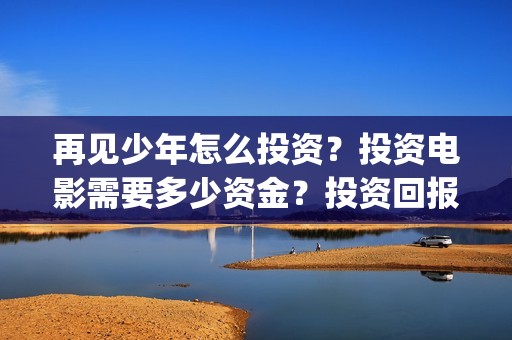再见少年怎么投资？投资电影需要多少资金？投资回报率如何？(再见少年到底怎么了)