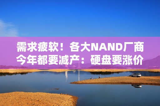 需求疲软！各大NAND厂商今年都要减产：硬盘要涨价啦