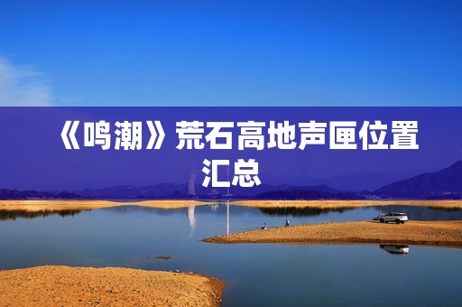 《鸣潮》荒石高地声匣位置汇总