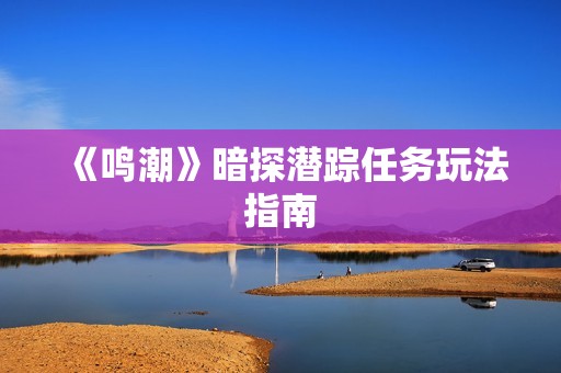 《鸣潮》暗探潜踪任务玩法指南