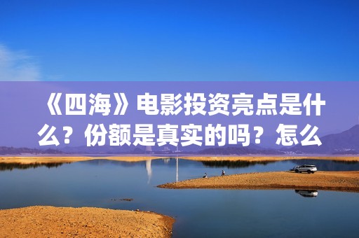 《四海》电影投资亮点是什么？份额是真实的吗？怎么投资有保障呢？(四海电影怎么样)