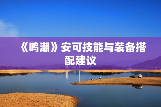 《鸣潮》安可技能与装备搭配建议