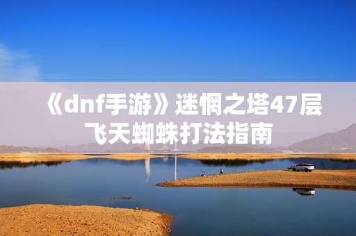 《dnf手游》迷惘之塔47层飞天蜘蛛打法指南