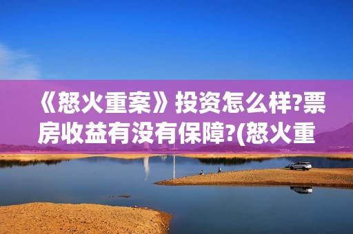 《怒火重案》投资怎么样?票房收益有没有保障?(怒火重案投入)