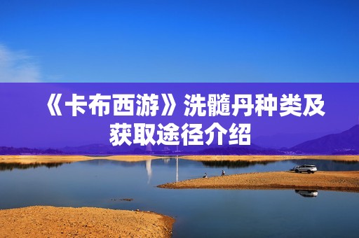 《卡布西游》洗髓丹种类及获取途径介绍