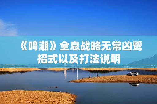《鸣潮》全息战略无常凶鹭招式以及打法说明