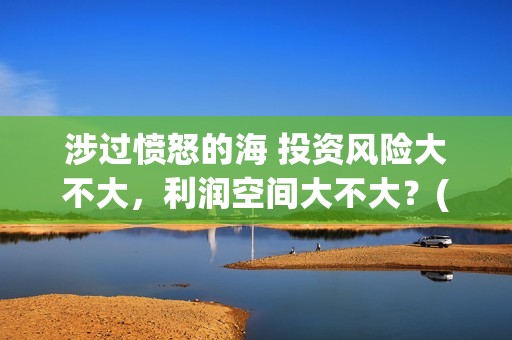 涉过愤怒的海 投资风险大不大，利润空间大不大？(涉过愤怒的海事件原型)