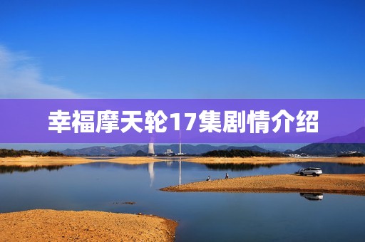 幸福摩天轮17集剧情介绍