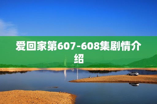 爱回家第607-608集剧情介绍