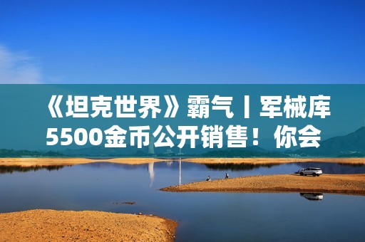 《坦克世界》霸气丨军械库5500金币公开销售！你会为自己的爱车蟋蟀15购置这个“刺猬”3D风格吗？