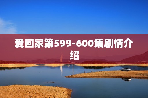 爱回家第599-600集剧情介绍