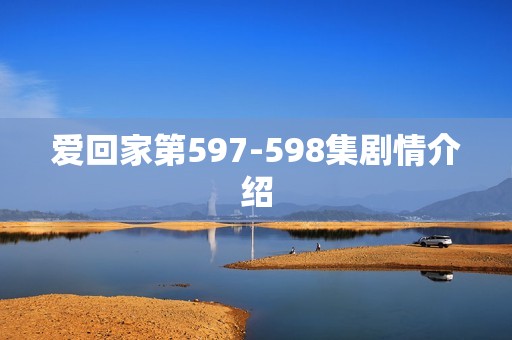 爱回家第597-598集剧情介绍