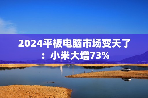 2024平板电脑市场变天了：小米大增73%