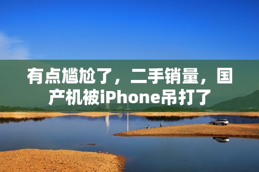 有点尴尬了，二手销量，国产机被iPhone吊打了