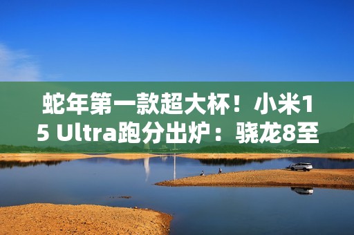 蛇年第一款超大杯！小米15 Ultra跑分出炉：骁龙8至尊版+16GB内存