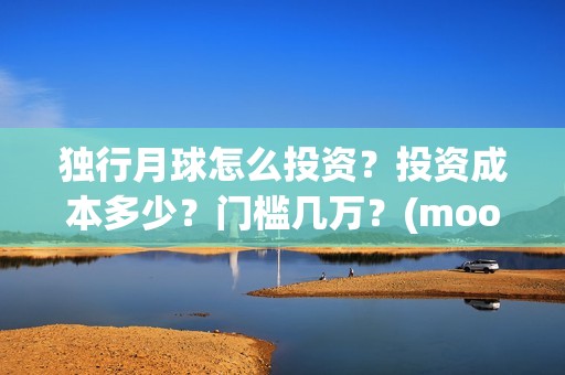 独行月球怎么投资？投资成本多少？门槛几万？(moonyou-独行月球)