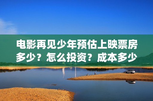 电影再见少年预估上映票房多少？怎么投资？成本多少(再见少年 预告片)