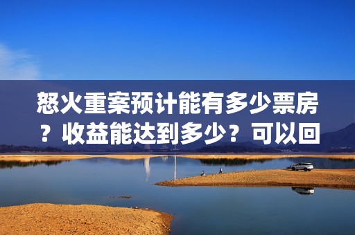 怒火重案预计能有多少票房？收益能达到多少？可以回本吗？(怒火重案说什么)