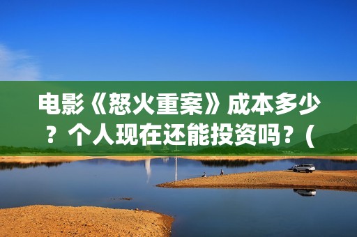电影《怒火重案》成本多少？个人现在还能投资吗？(谢霆锋最新电影怒火重案)