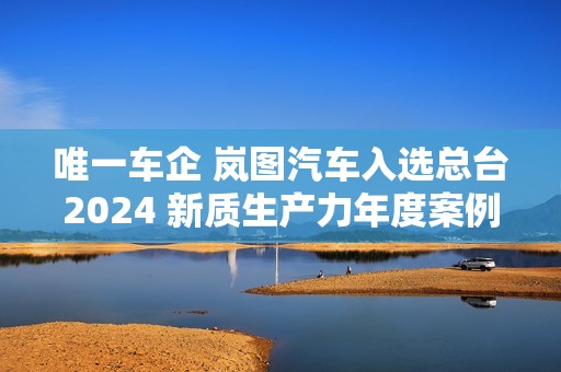 唯一车企 岚图汽车入选总台2024 新质生产力年度案例