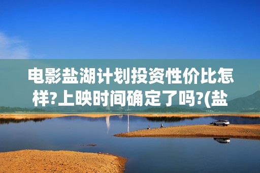 电影盐湖计划投资性价比怎样?上映时间确定了吗?(盐湖计划上映)