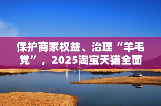 保护商家权益、治理“羊毛党”，2025淘宝天猫全面提升营商环境