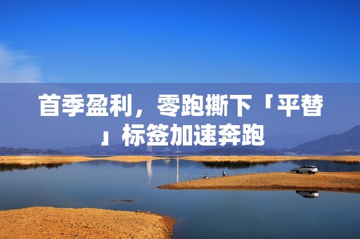 首季盈利，零跑撕下「平替」标签加速奔跑