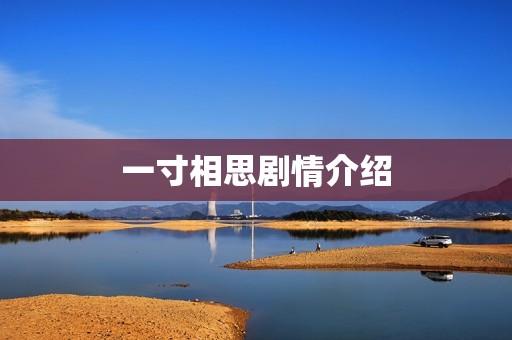 一寸相思剧情介绍