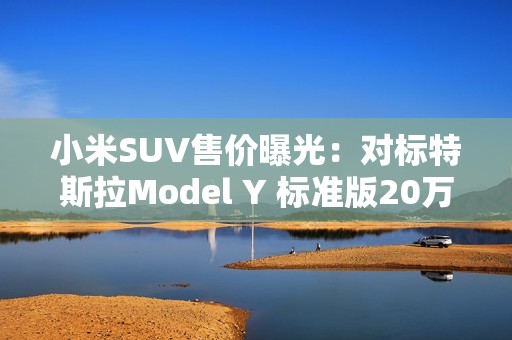 小米SUV售价曝光：对标特斯拉Model Y 标准版20万以下