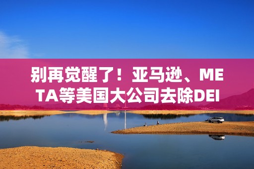 别再觉醒了！亚马逊、META等美国大公司去除DEI