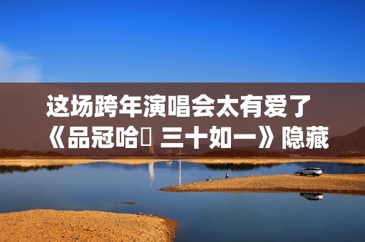 这场跨年演唱会太有爱了 《品冠哈啰 三十如一》隐藏宠粉天花板(这场跨年演唱会英文)