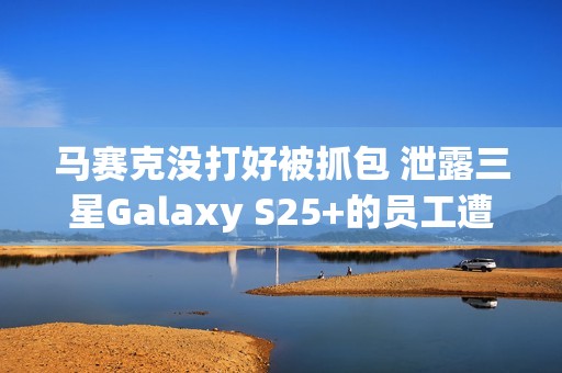 马赛克没打好被抓包 泄露三星Galaxy S25+的员工遭到开除