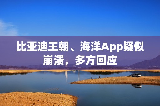 比亚迪王朝、海洋App疑似崩溃，多方回应