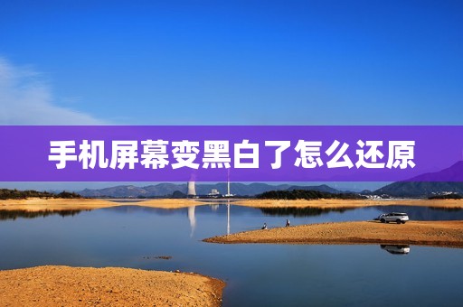 手机屏幕变黑白了怎么还原