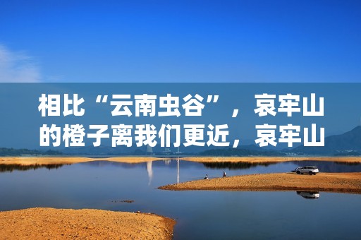 相比“云南虫谷”，哀牢山的橙子离我们更近，哀牢山冰糖橙集中上市天猫双11，一晚卖出6万斤