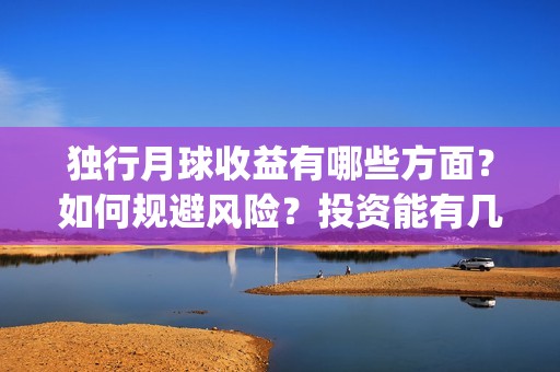 独行月球收益有哪些方面？如何规避风险？投资能有几倍的回报率？(独行月球百度百科)