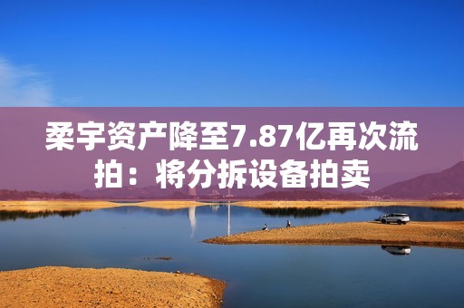 柔宇资产降至7.87亿再次流拍：将分拆设备拍卖
