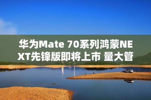 华为Mate 70系列鸿蒙NEXT先锋版即将上市 量大管够？