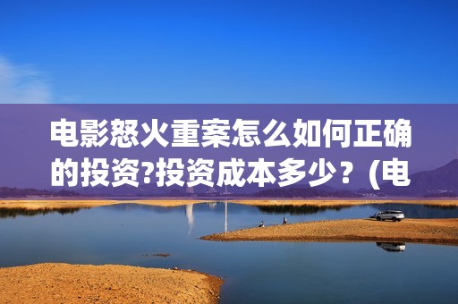 电影怒火重案怎么如何正确的投资?投资成本多少？(电影《怒火重案》)