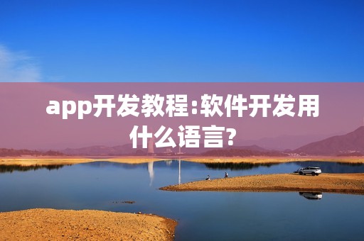 app开发教程:软件开发用什么语言?