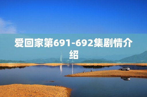 爱回家第691-692集剧情介绍