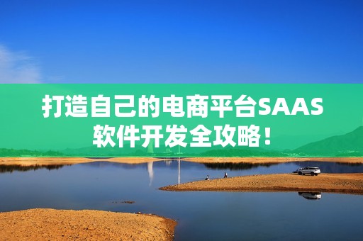 打造自己的电商平台SAAS软件开发全攻略！