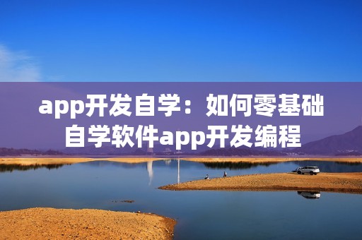 app开发自学：如何零基础自学软件app开发编程