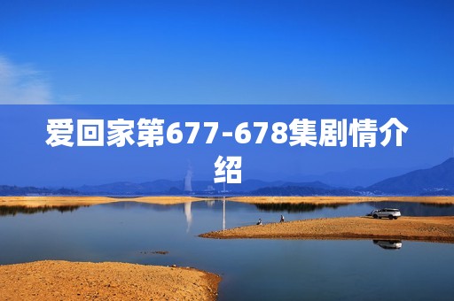爱回家第677-678集剧情介绍